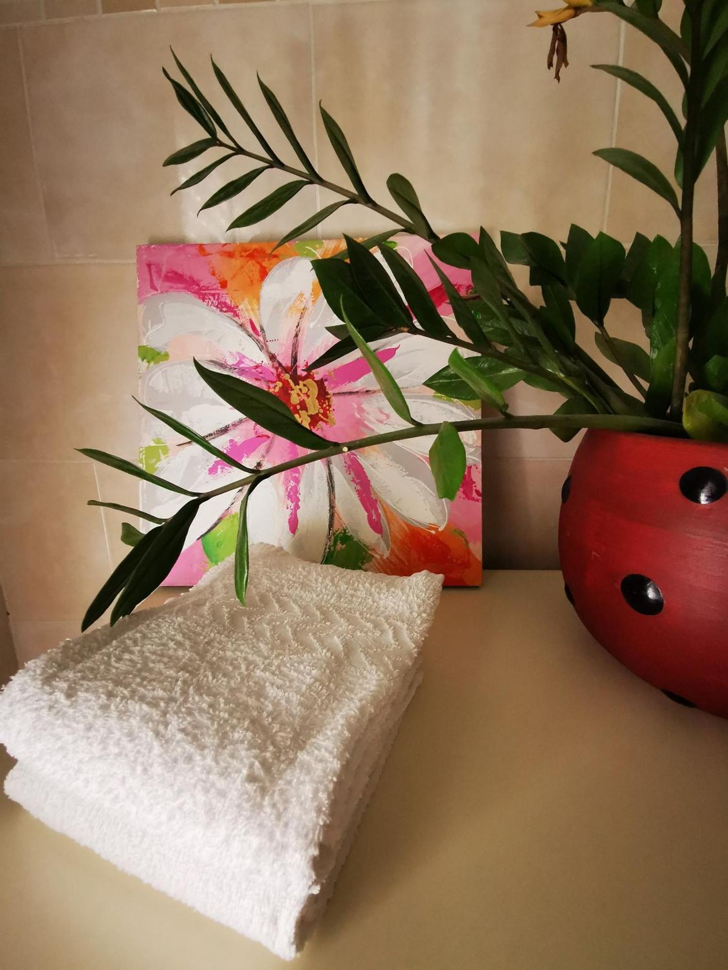 B&B Ospedale Maggiore Parma Affittacamere Zewnętrze zdjęcie